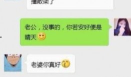 兄弟爆料搞笑段子视频合集,搞笑段子视频合集笑翻天