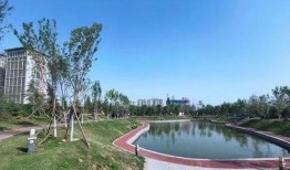 南岗村旧改爆料公告最新,揭秘项目亮点与居民期待