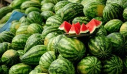 免费的网红吃瓜,揭秘娱乐圈幕后真相